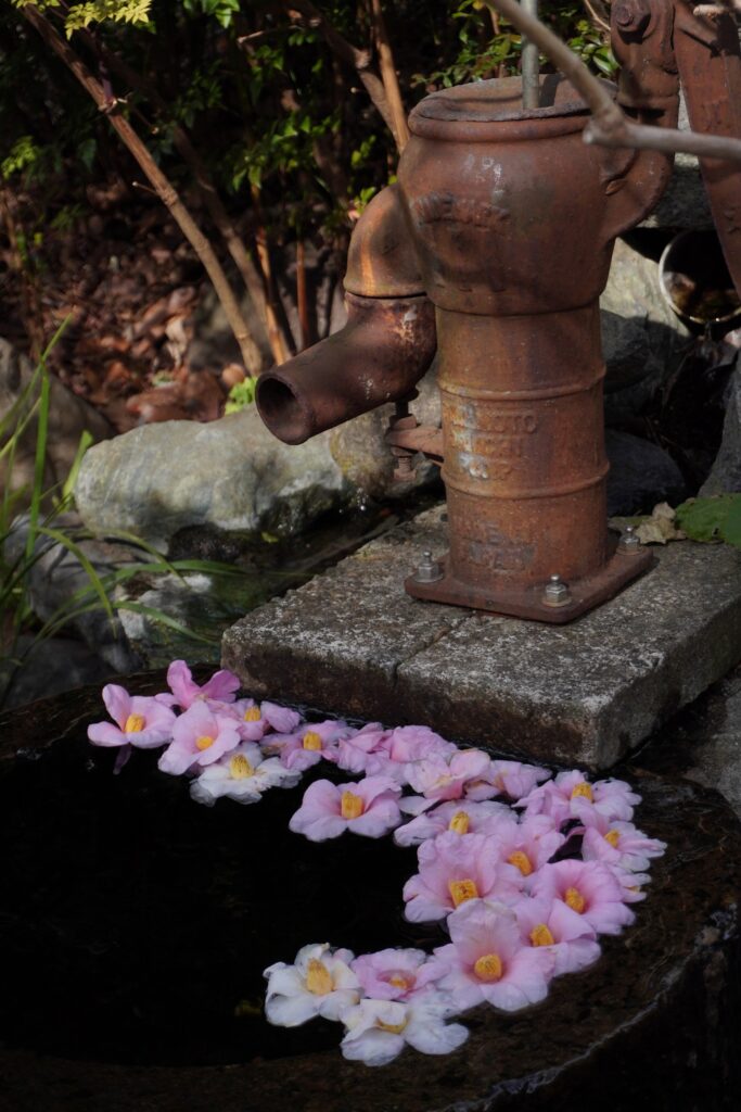 馬場花木園