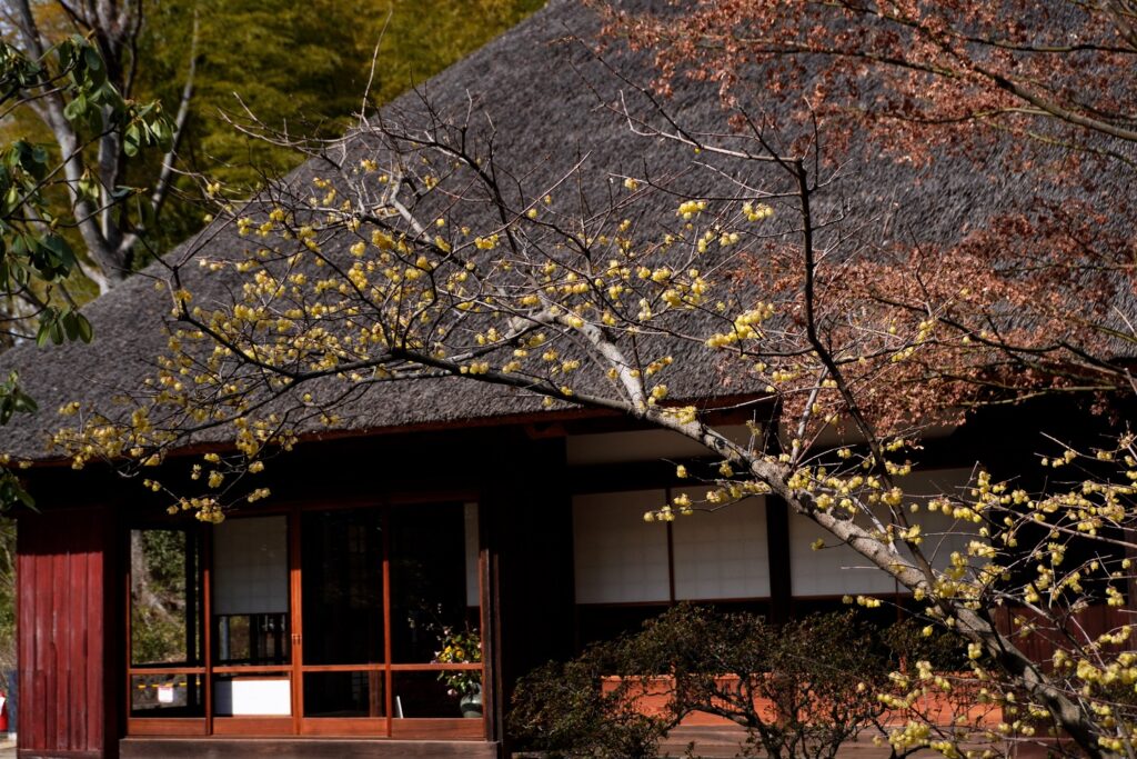 馬場花木園