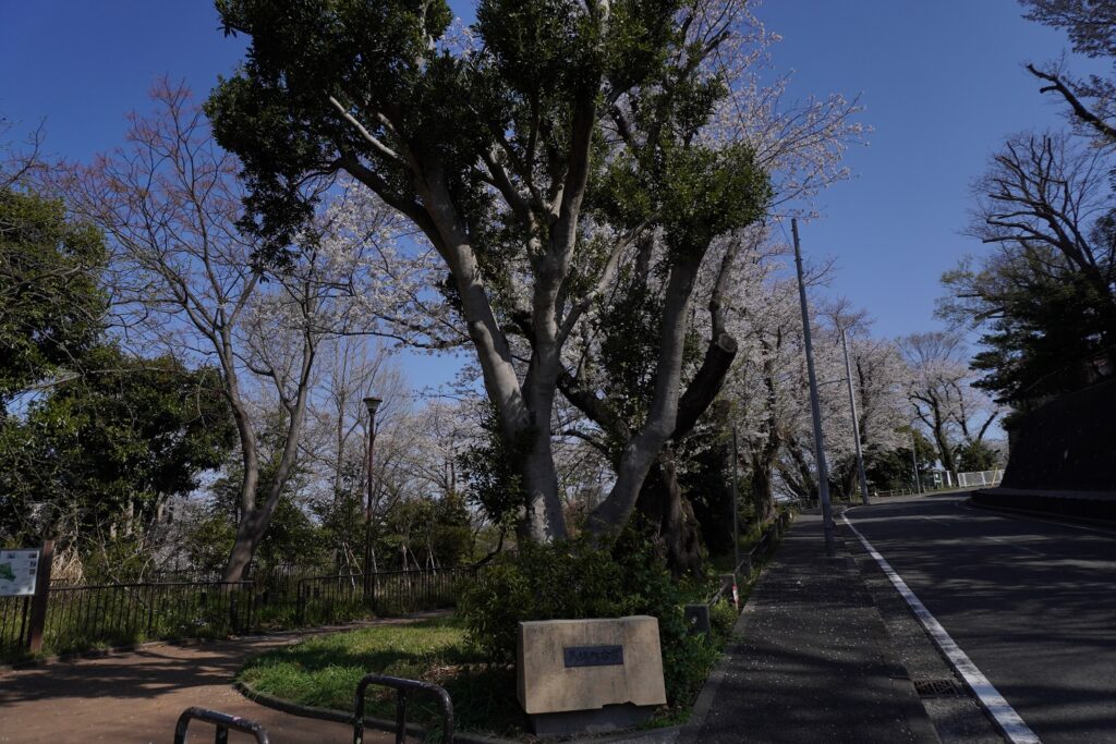 馬場町公園