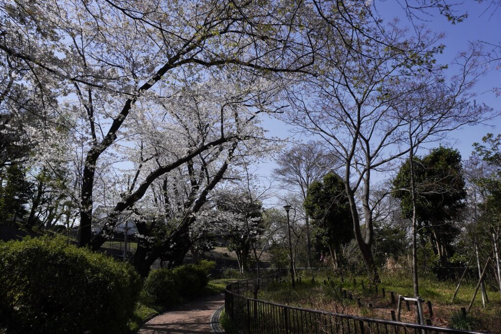 馬場町公園