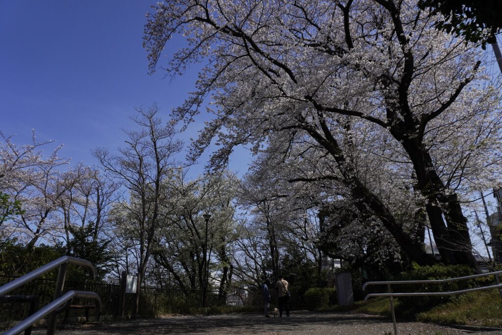 馬場町公園