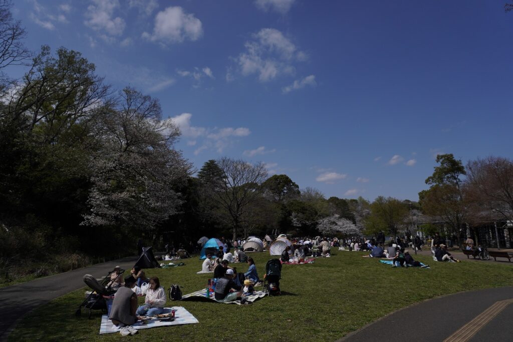 三ツ池公園花見
