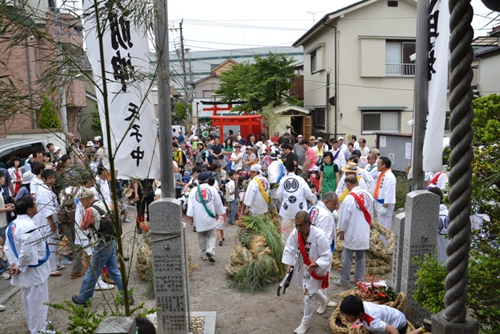 蛇も蚊も