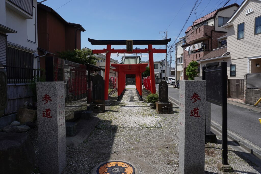 蛇も蚊も