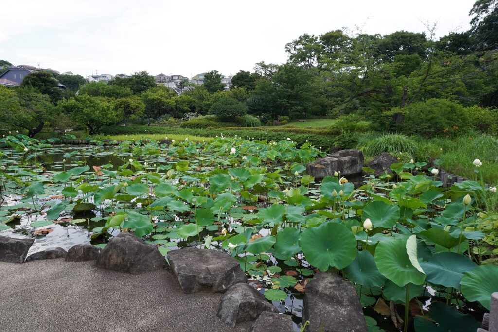 馬場花木園