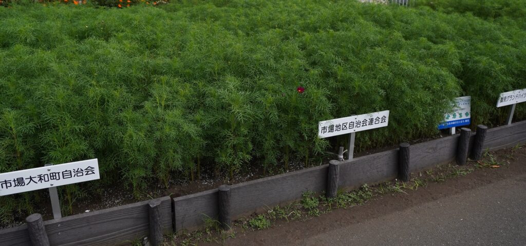 鶴見川リバーサイドガーデン
