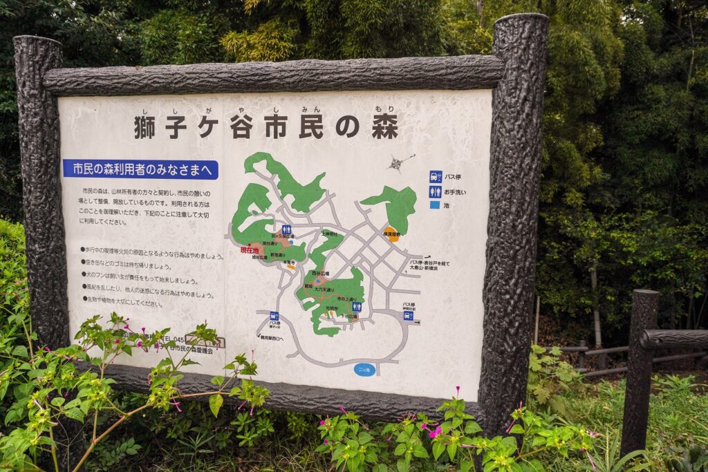 坂道ギネス北寺尾7