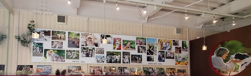 カフェ三ツ池　CAFE MITSUIKE