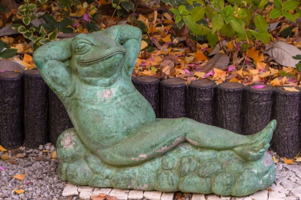 常倫寺 乳母銀杏 蛙