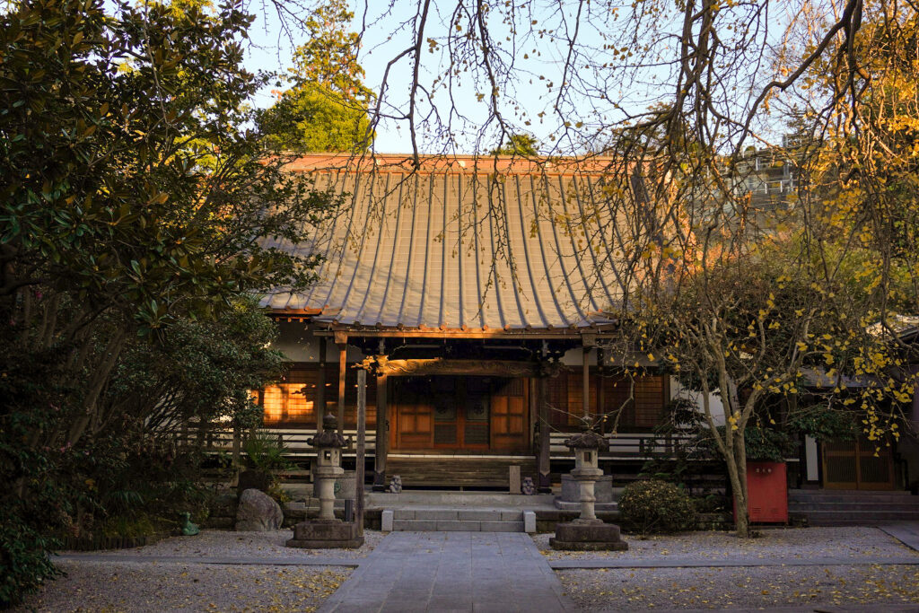 常倫寺 大銀杏