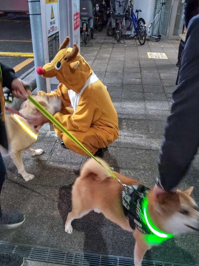 スターロード　トナカイ＆サンタ