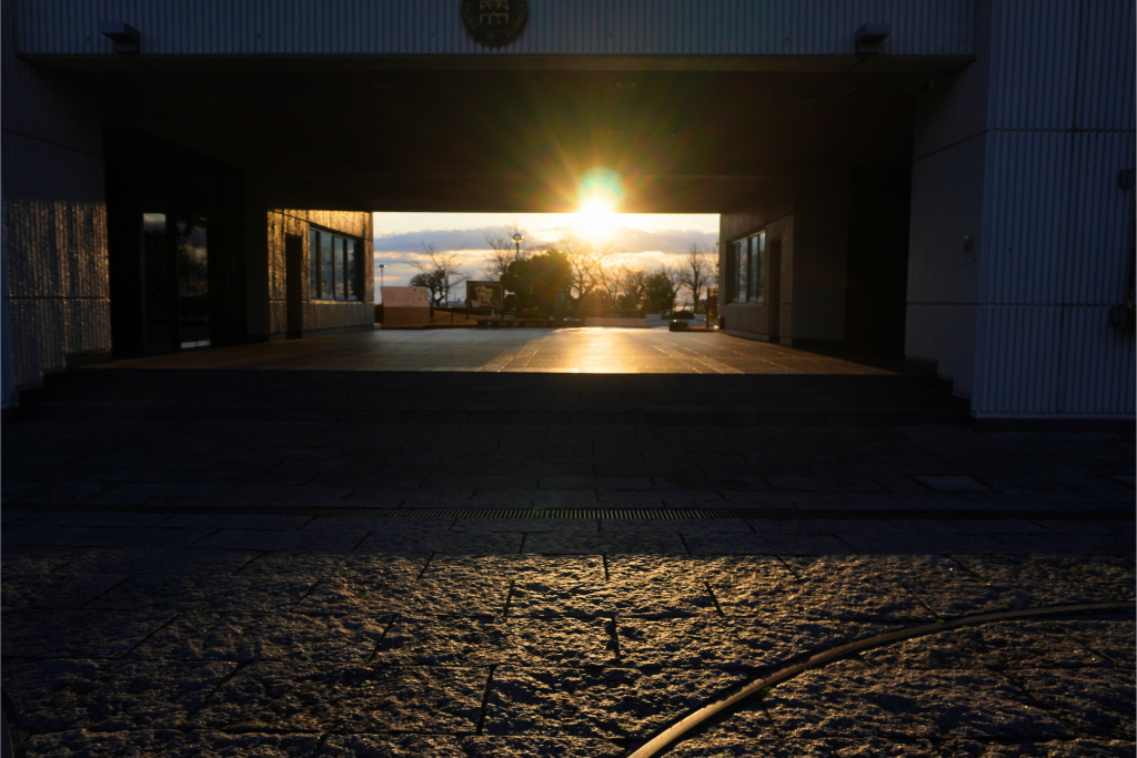 初日の出商科大学2026