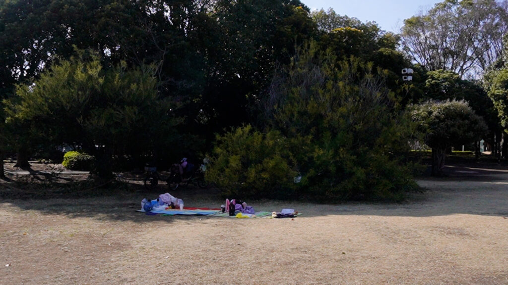 入船公園モミザ