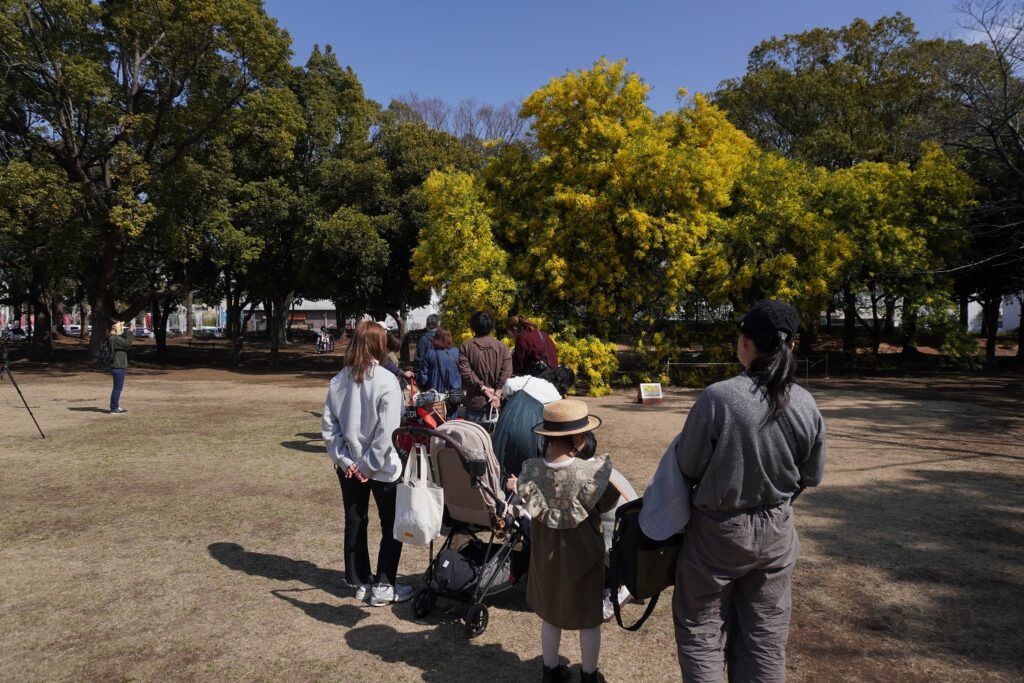 入船公園　モミザ