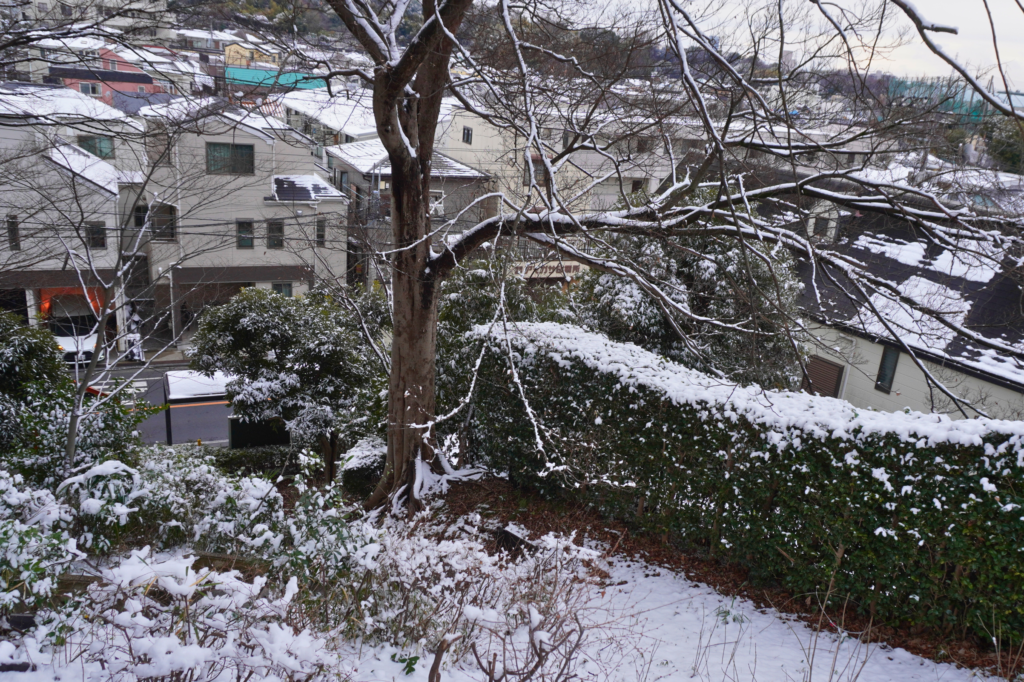 横浜市鶴見区積雪４センチ