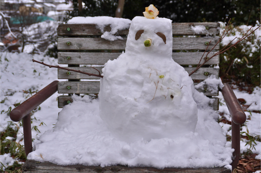 雪鶴見区積もる