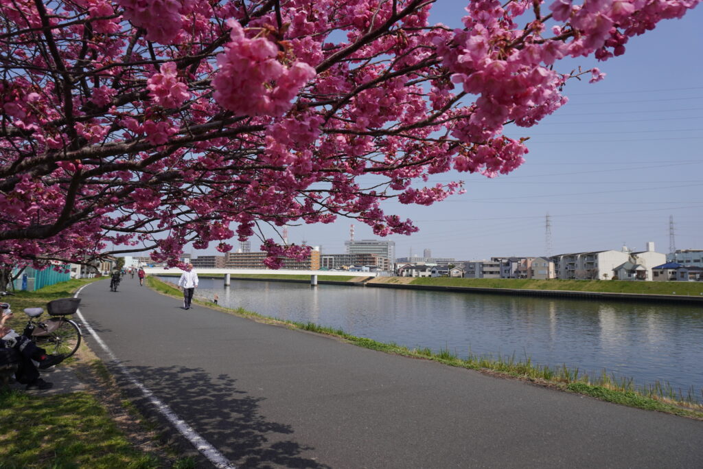 鶴見川　鶴見川人道橋