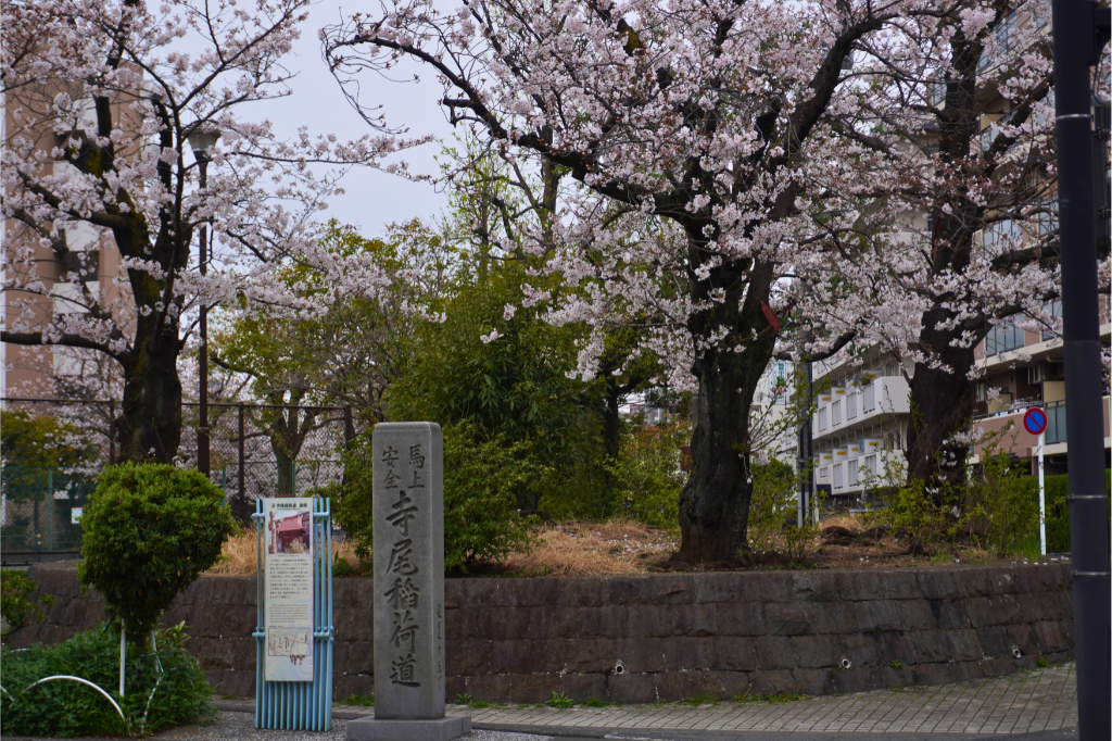 桜 寺尾稲荷道標