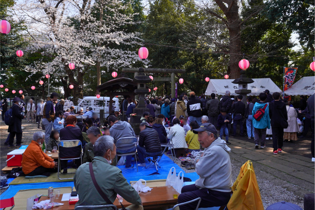 白幡公園　白幡神社　桜祭