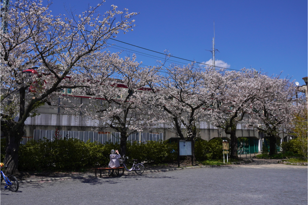 本山前桜公園