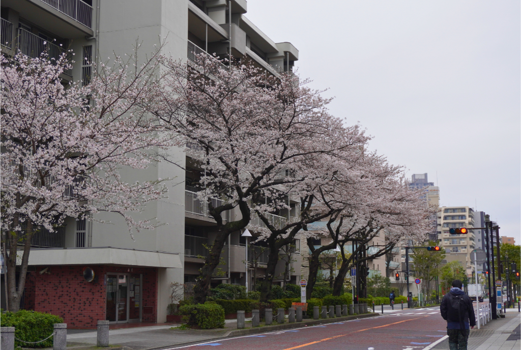 桜 鶴見上町バス停