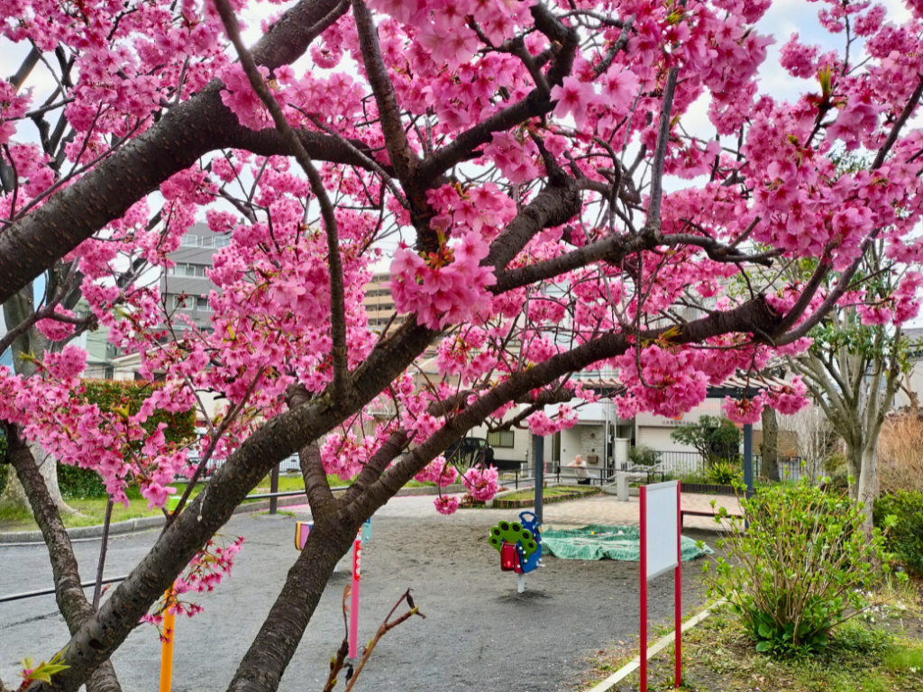 本山前桜公園