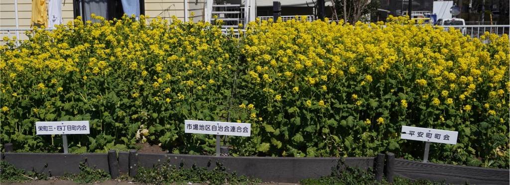 リバーサイドガーデン鶴見川菜の花市場地区自治会連合会