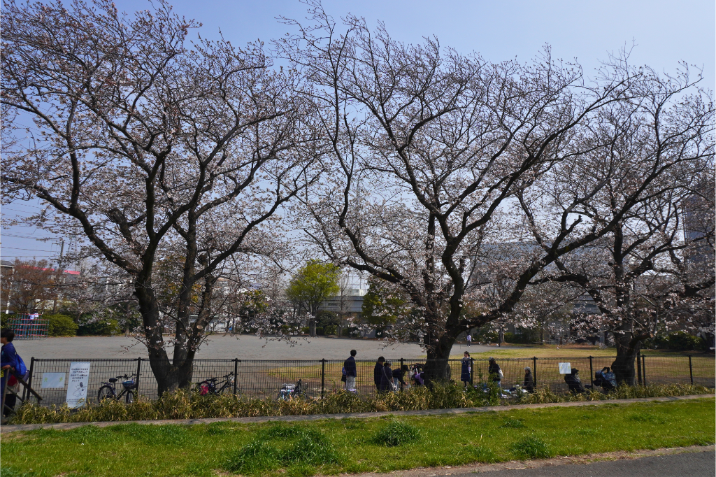 鶴見川　矢向一丁目公園