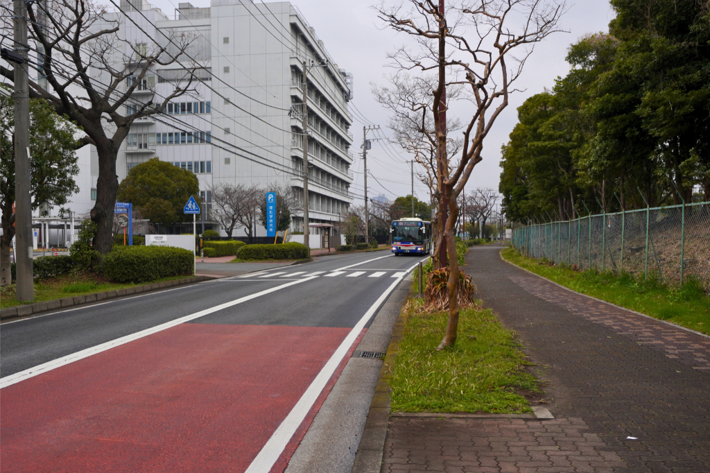 ふれーゆに行く道