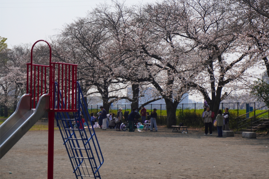鶴見川　矢向一丁目公園