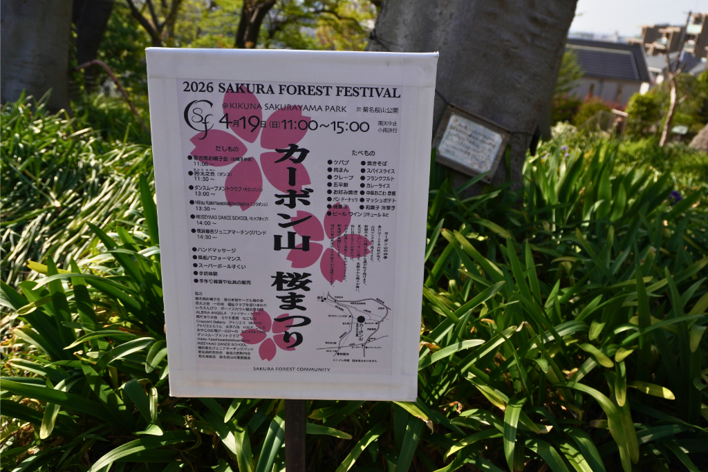 カーボン山八重桜