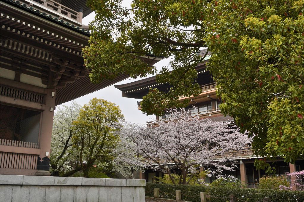 大本山總持寺