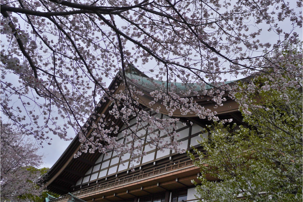 總持寺の桜 三門 三松閣(さんしょうかく)