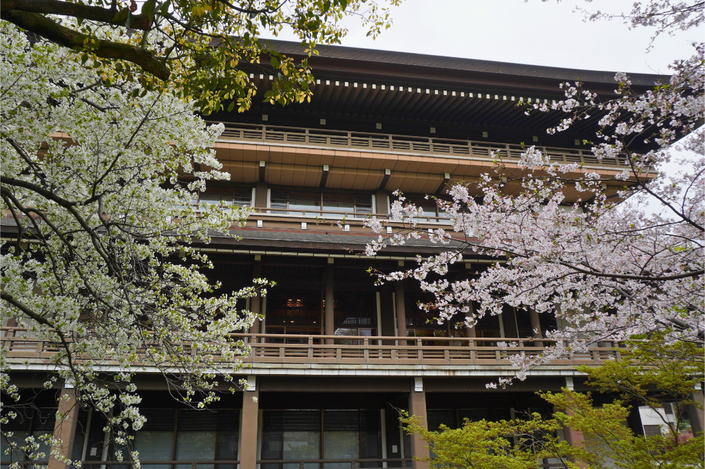 總持寺の桜 三門 三松閣(さんしょうかく)