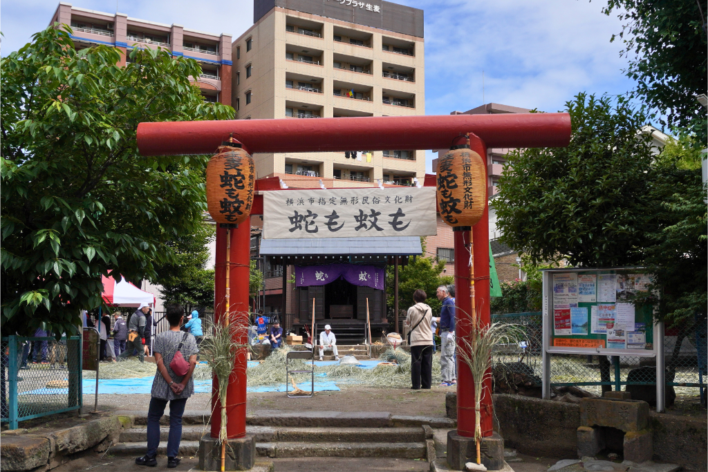 蛇も蚊も