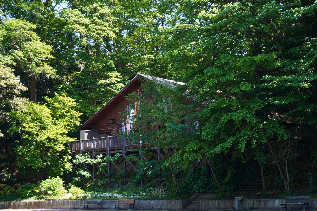白幡公園ログハウスピッコロ