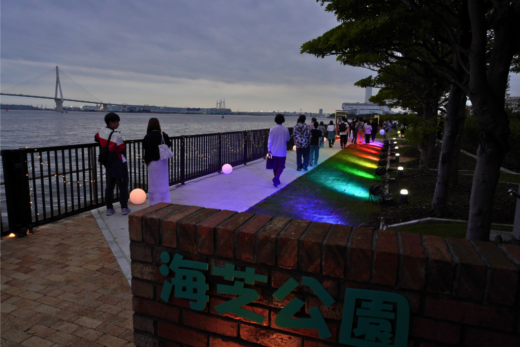 海芝公園ライトアップ