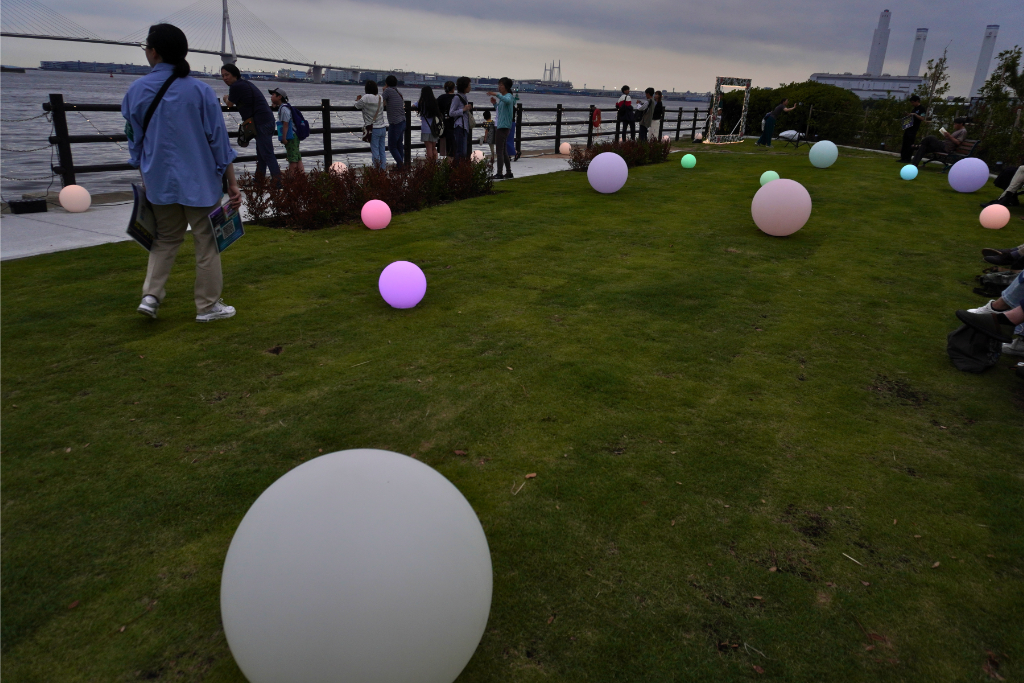 海芝公園ライトアップ