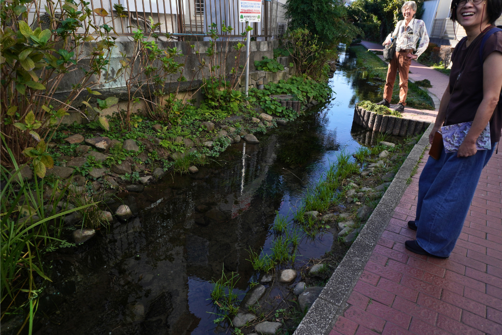 入江川~めがね橋 支流