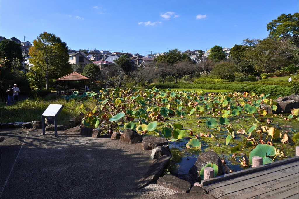馬場花木園