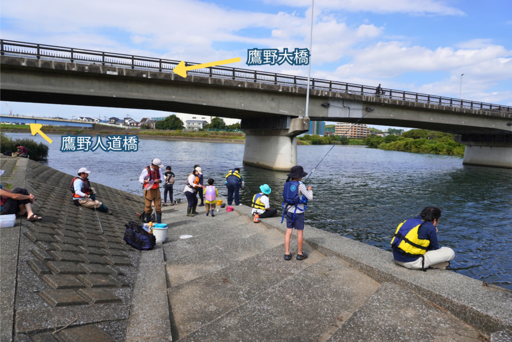 大曲広場 鶴見川 鷹野大橋 鷹野人道橋