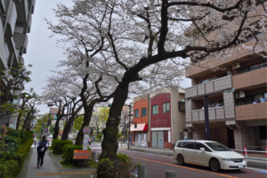 桜　鶴見上町バス停